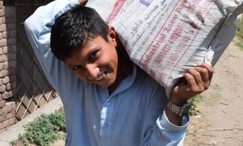 Food supplies for poor family in Pakistan