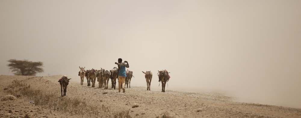Ethiopia Drought in Afar Ethiopia