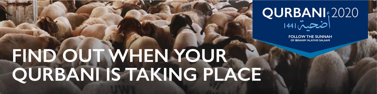 Find Out When Your Qurbani is Taking Place