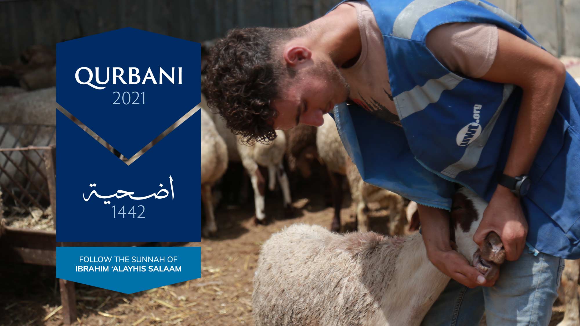 Qurbani 2021 Follow the Sunnah