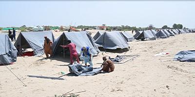 Shelter and Hope for Sindh's Flood Victims