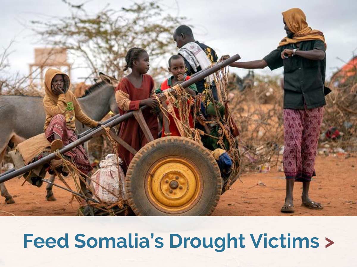 Feed Somalia's Drought Victims
