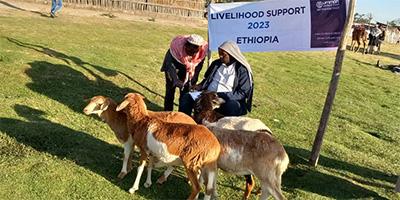 Providing Incomes to Ethiopia's Teachers