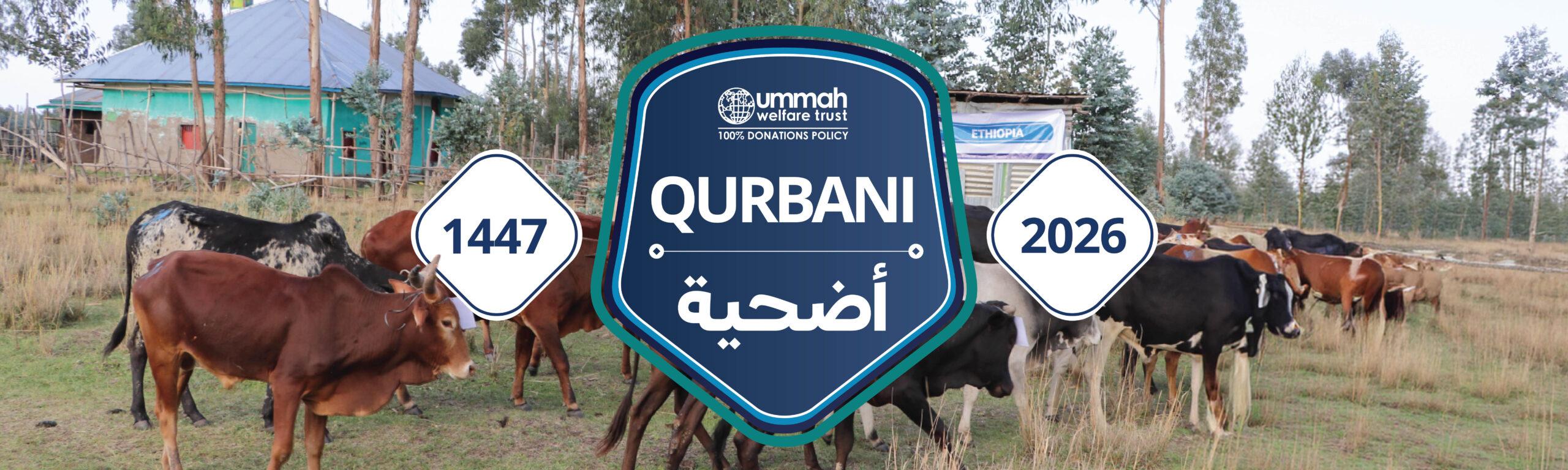 Qurbani 2026 by Ummah Welfare Trsut (UWT) 2 Qurbani 2026 by Ummah Welfare Trust (UWT)